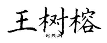 丁謙王樹榕楷書個性簽名怎么寫