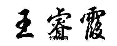 胡問遂王睿霞行書個性簽名怎么寫