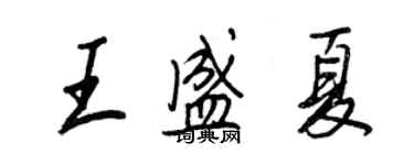 王正良王盛夏行書個性簽名怎么寫