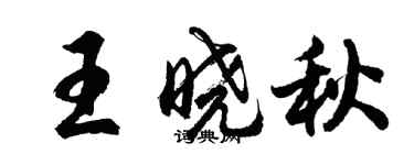 胡問遂王曉秋行書個性簽名怎么寫