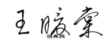 駱恆光王暖棠草書個性簽名怎么寫