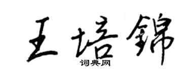 王正良王培錦行書個性簽名怎么寫