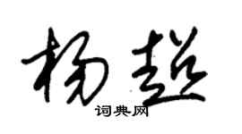 朱錫榮楊超草書個性簽名怎么寫