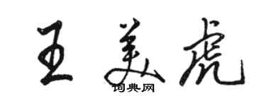 駱恆光王美虎行書個性簽名怎么寫