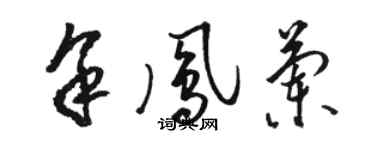 駱恆光余鳳蘭草書個性簽名怎么寫