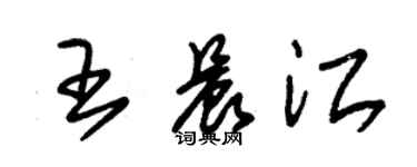 朱錫榮王晨江草書個性簽名怎么寫