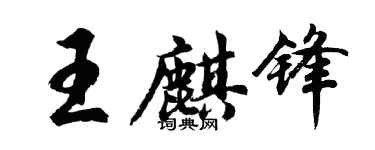 胡問遂王麒鋒行書個性簽名怎么寫