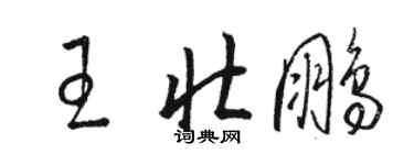 駱恆光王壯鵬草書個性簽名怎么寫