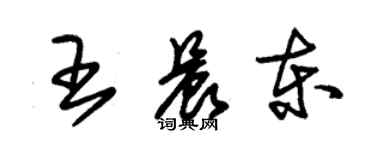 朱錫榮王晨東草書個性簽名怎么寫