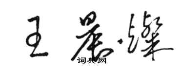 駱恆光王晨燦草書個性簽名怎么寫