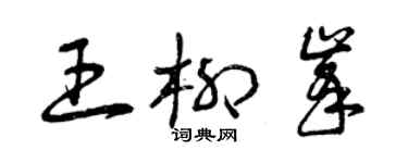 曾慶福王柳峰草書個性簽名怎么寫