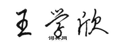 駱恆光王學欣行書個性簽名怎么寫