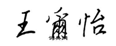 王正良王爾怡行書個性簽名怎么寫