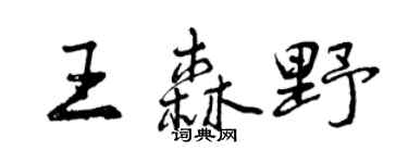 曾慶福王森野行書個性簽名怎么寫
