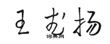 駱恆光王武揚草書個性簽名怎么寫