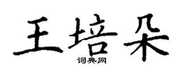 丁謙王培朵楷書個性簽名怎么寫