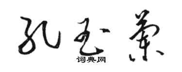 駱恆光孔玉蘭草書個性簽名怎么寫