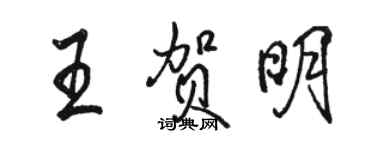 駱恆光王賀明行書個性簽名怎么寫