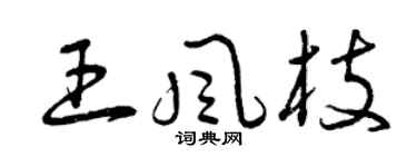 曾慶福王風枝草書個性簽名怎么寫