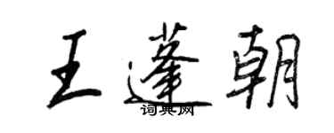 王正良王蓬朝行書個性簽名怎么寫