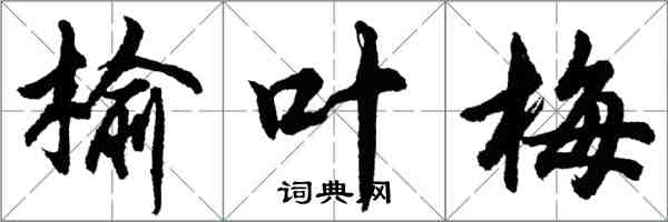 胡問遂榆葉梅行書怎么寫