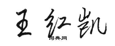 駱恆光王紅凱行書個性簽名怎么寫