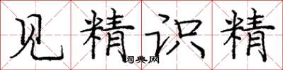 龐中華見精識精楷書怎么寫