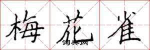侯登峰梅花雀楷書怎么寫