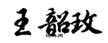 胡問遂王韶玫行書個性簽名怎么寫