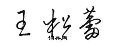 駱恆光王松蕾草書個性簽名怎么寫