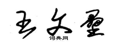 朱錫榮王文壘草書個性簽名怎么寫