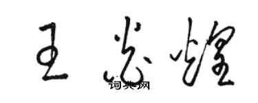 駱恆光王炎煌草書個性簽名怎么寫