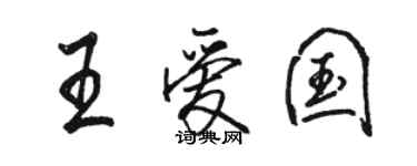 駱恆光王愛國行書個性簽名怎么寫