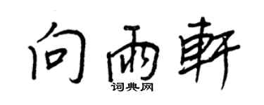 王正良向雨軒行書個性簽名怎么寫