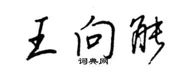 王正良王向能行書個性簽名怎么寫