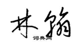 梁錦英林翰草書個性簽名怎么寫