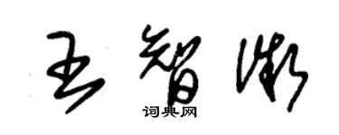 朱錫榮王智微草書個性簽名怎么寫