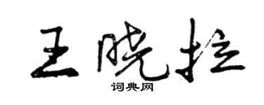 曾慶福王曉拉行書個性簽名怎么寫