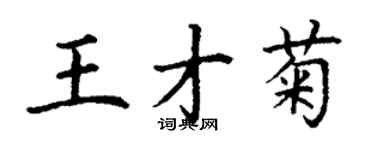 丁謙王才菊楷書個性簽名怎么寫