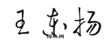 駱恆光王東揚草書個性簽名怎么寫