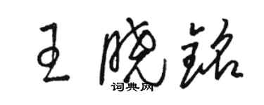 駱恆光王曉銘草書個性簽名怎么寫