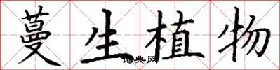 丁謙蔓生植物楷書怎么寫