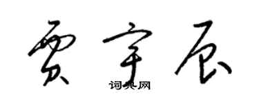 梁錦英賈宇辰草書個性簽名怎么寫