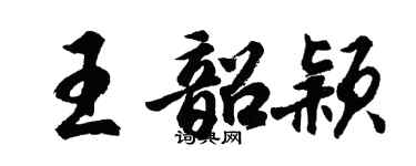 胡問遂王韶穎行書個性簽名怎么寫
