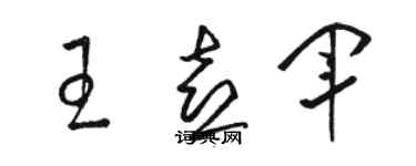 駱恆光王喜軍草書個性簽名怎么寫