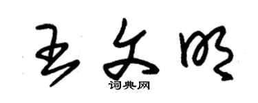 朱錫榮王文明草書個性簽名怎么寫