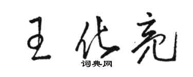 駱恆光王化亮草書個性簽名怎么寫