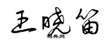 曾慶福王曉笛草書個性簽名怎么寫