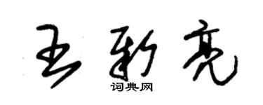 朱錫榮王新亮草書個性簽名怎么寫