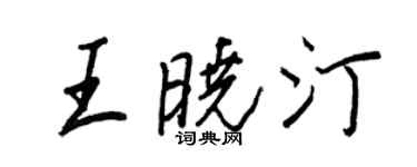 王正良王曉汀行書個性簽名怎么寫